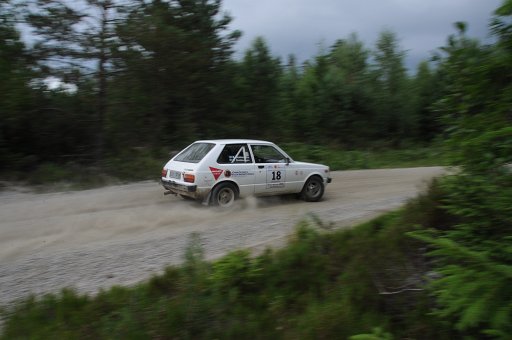 DSC_0207