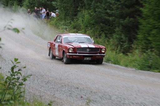 DSC_0336
