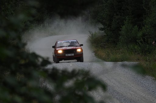 DSC_0341