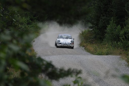 DSC_0384