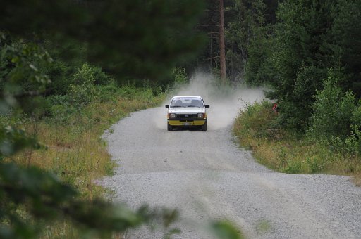 DSC_0441