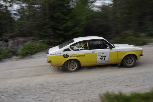 DSC_0444