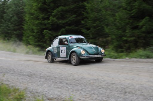 DSC_0481
