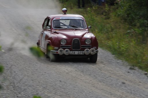 DSC_0493